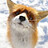 Nathan_River