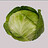 Precut_Fern