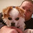 Waine_Miller
